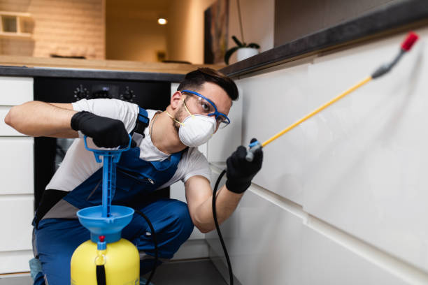 Best Best Pest Control Companies  in Hoosick Falls, NY