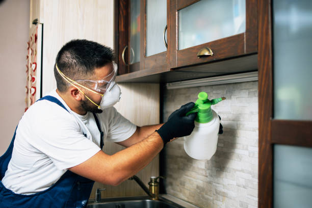Best Pest Prevention Services  in Hoosick Falls, NY