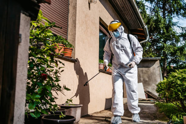 Best Insect Control  in Hoosick Falls, NY