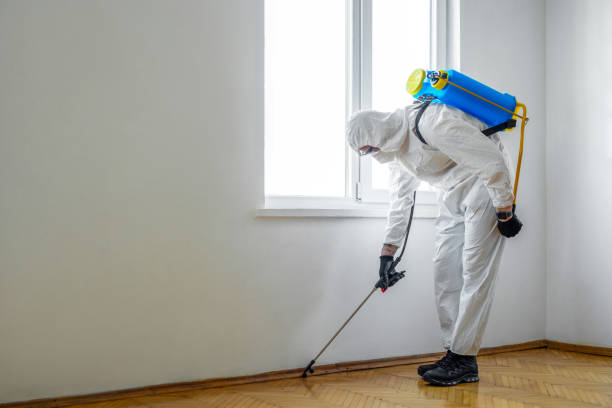 Best Commercial Pest Control Services  in Hoosick Falls, NY