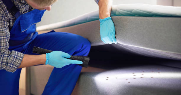Best Mosquito Control Services  in Hoosick Falls, NY