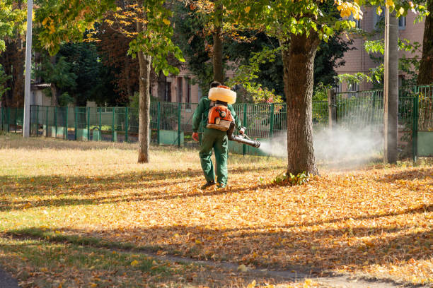 Best Best Pest Control Companies  in Hoosick Falls, NY